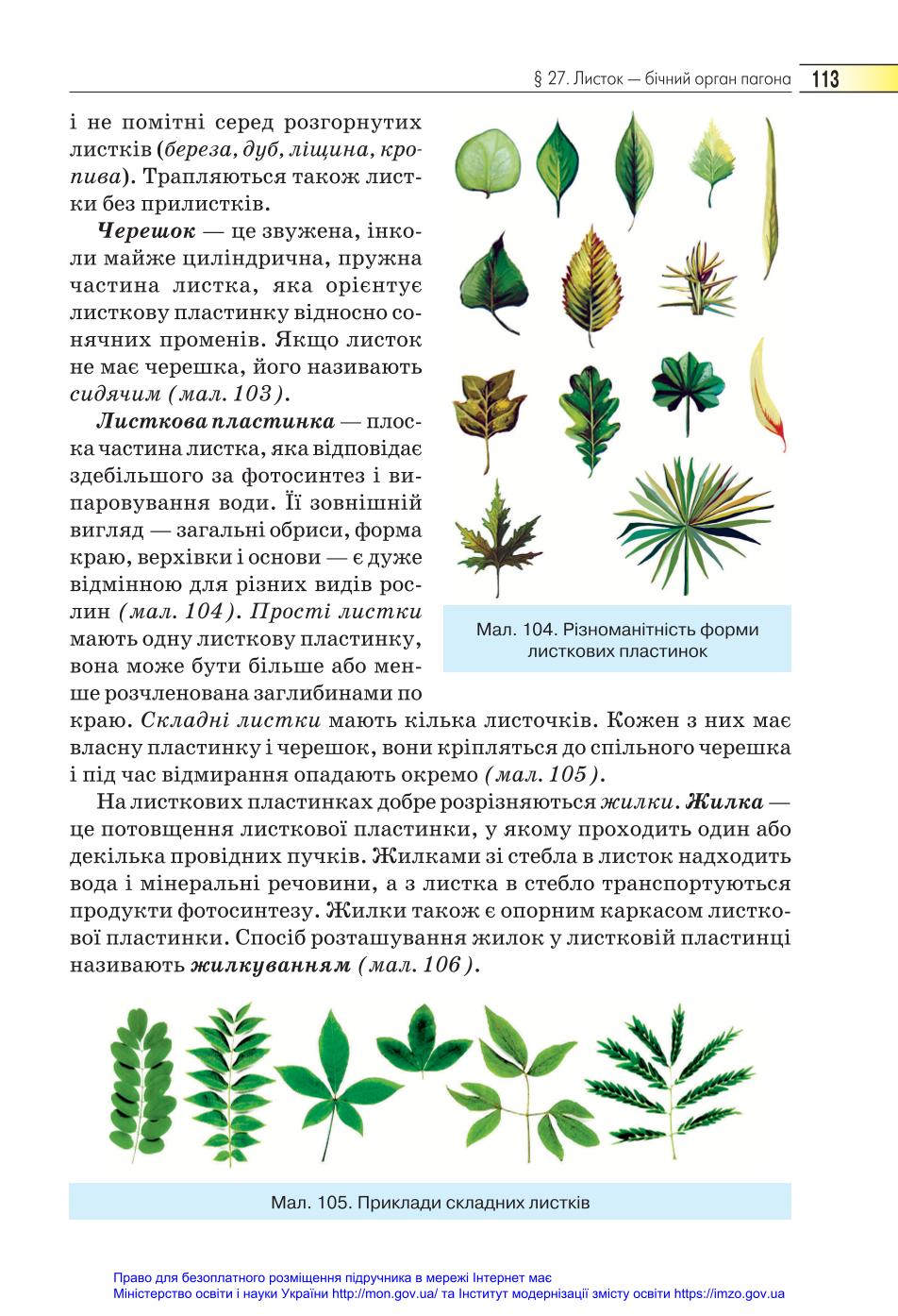 Мініатюра 113