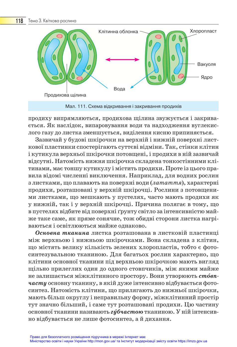 Мініатюра 118