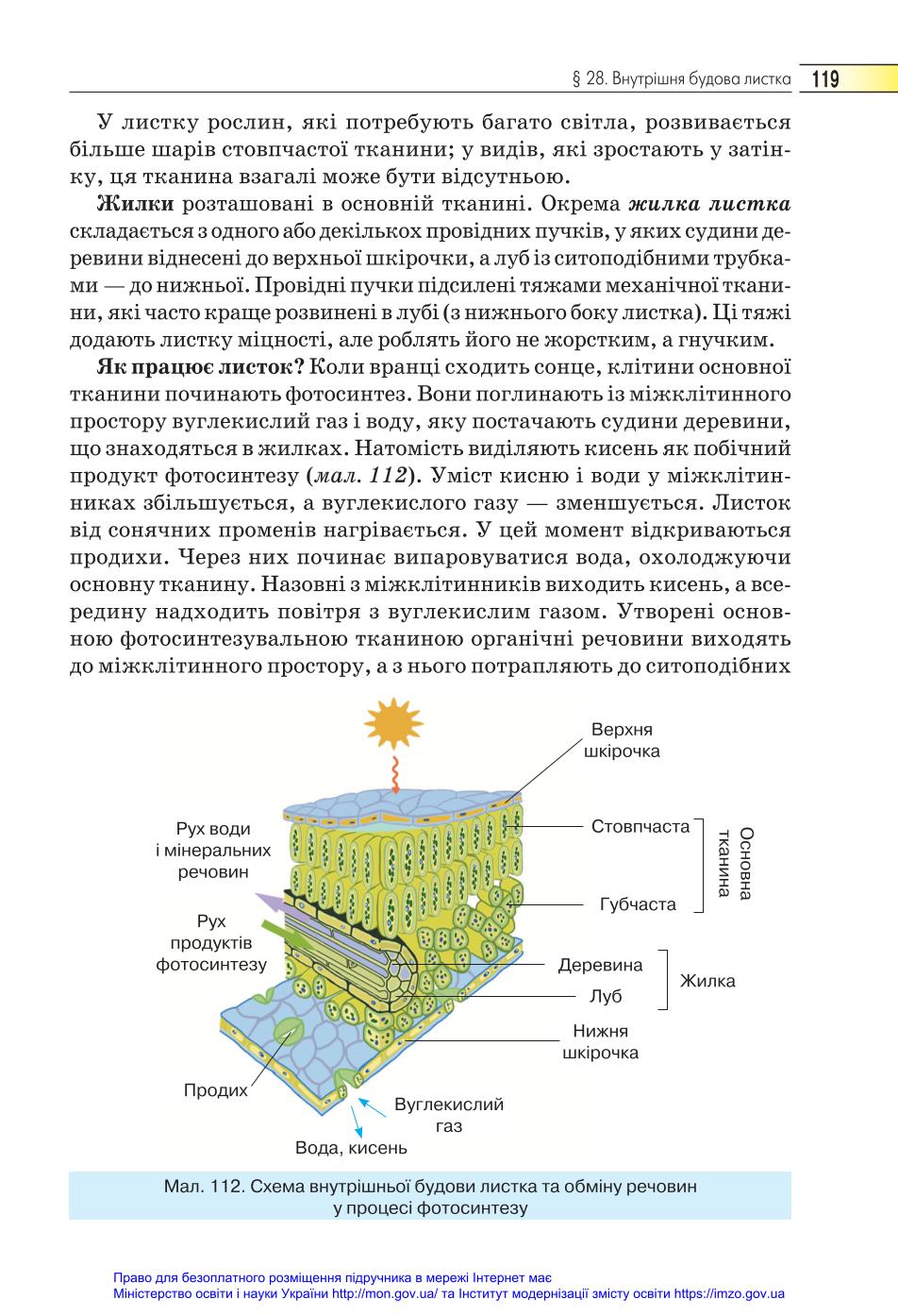 Мініатюра 119
