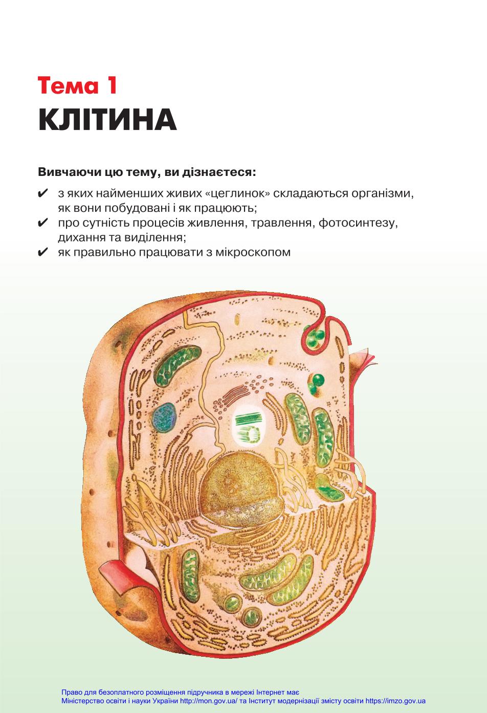 Мініатюра 13