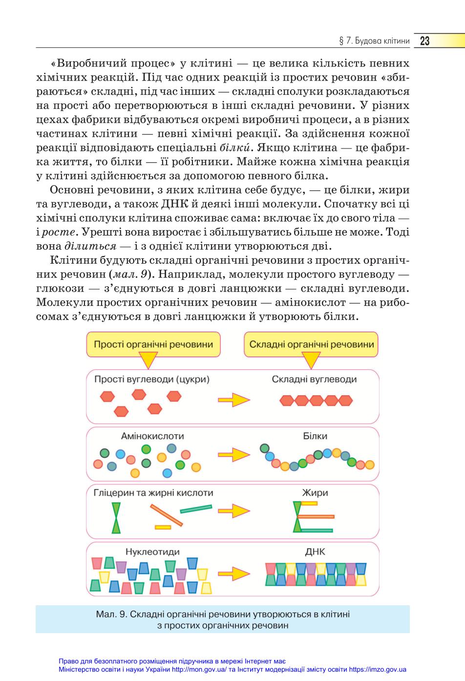 Мініатюра 23