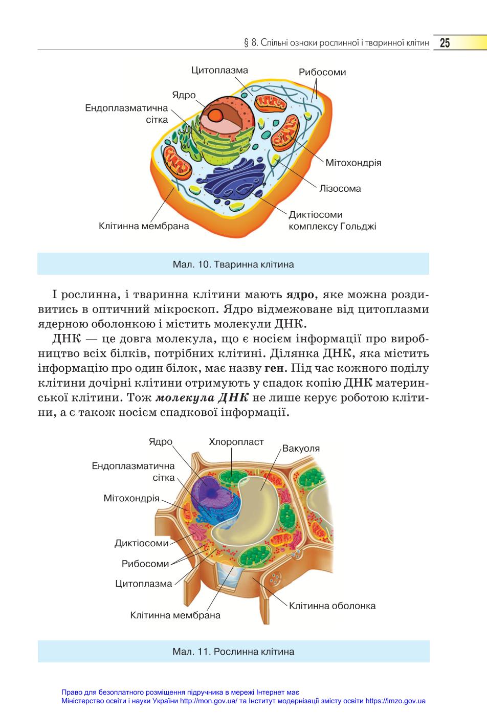Мініатюра 25
