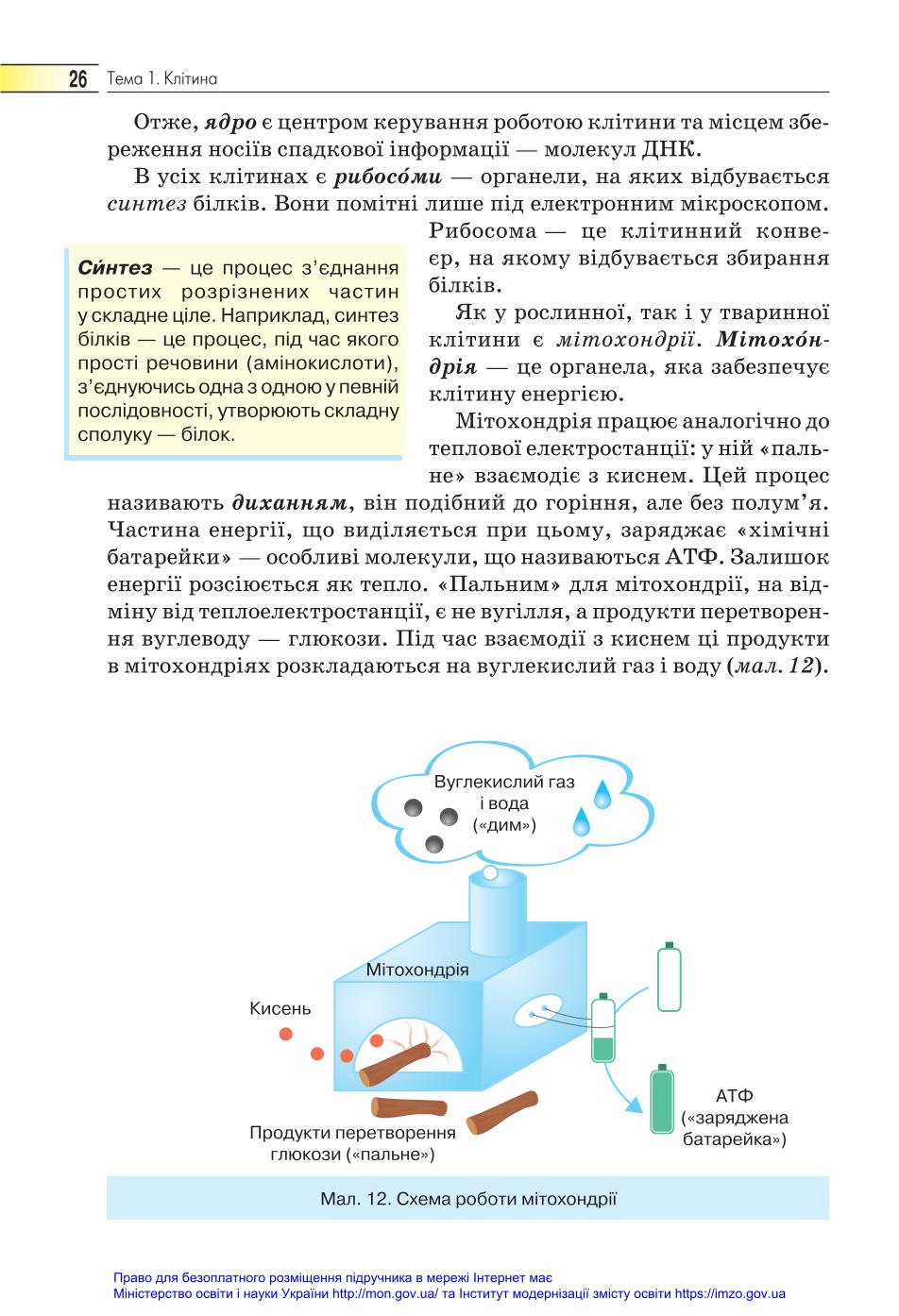 Мініатюра 26