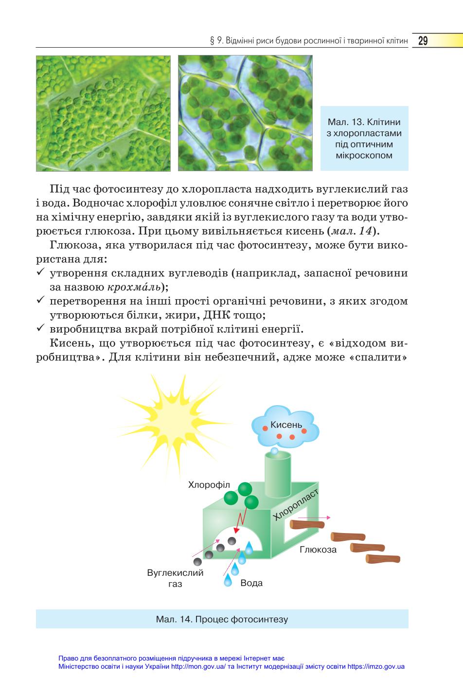 Мініатюра 29