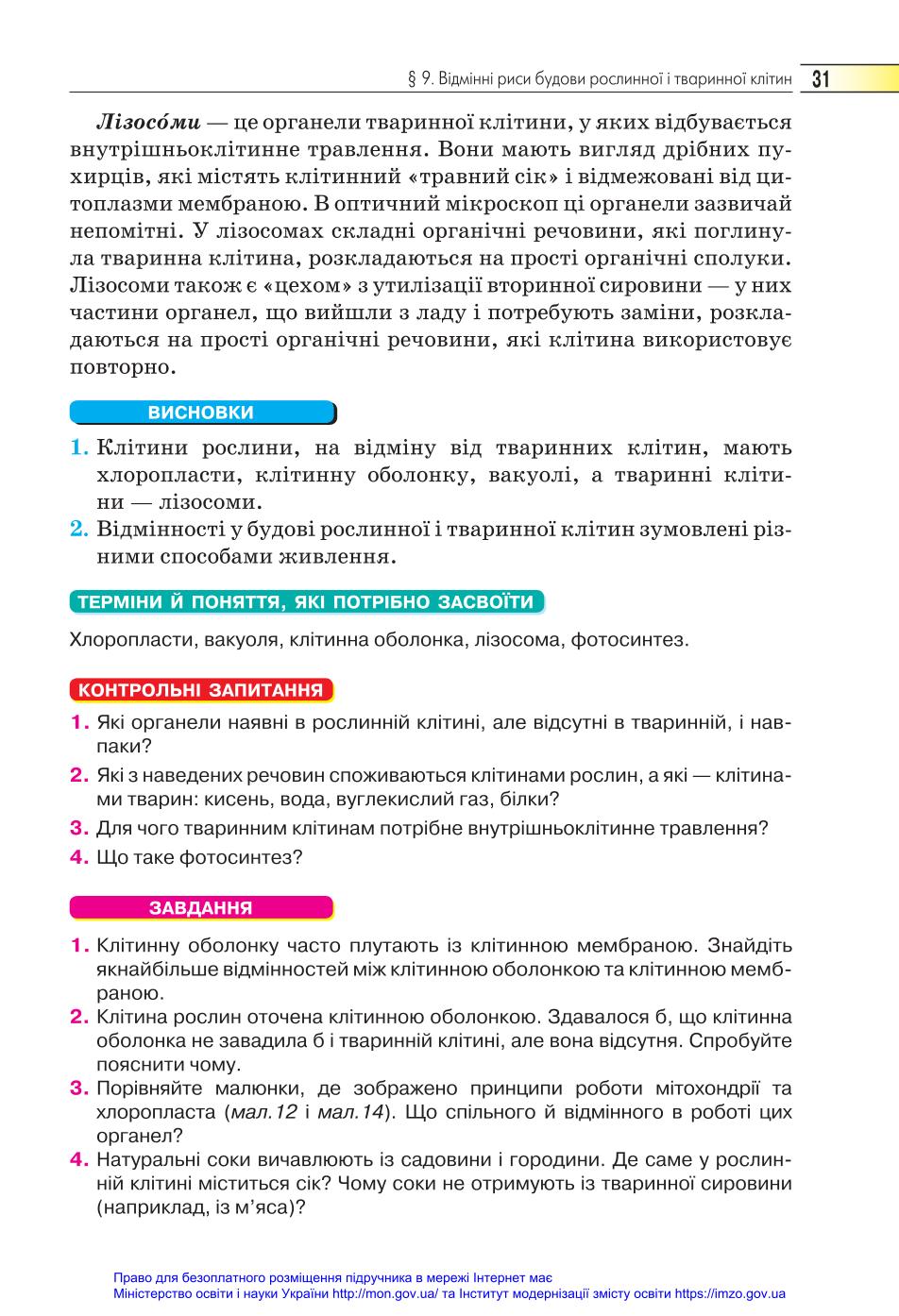 Мініатюра 31