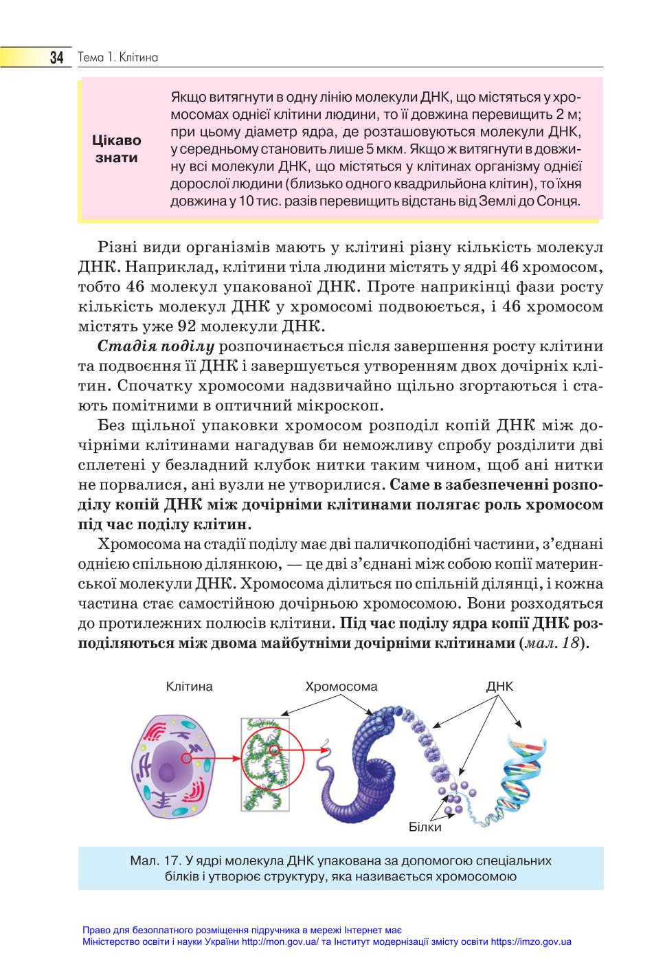 Мініатюра 34