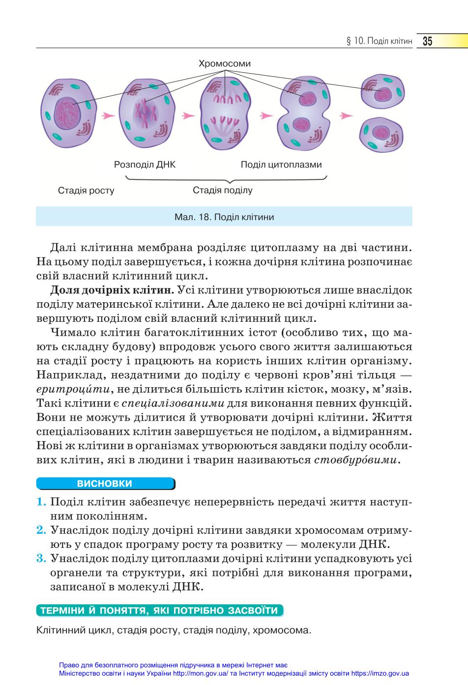 Мініатюра 35