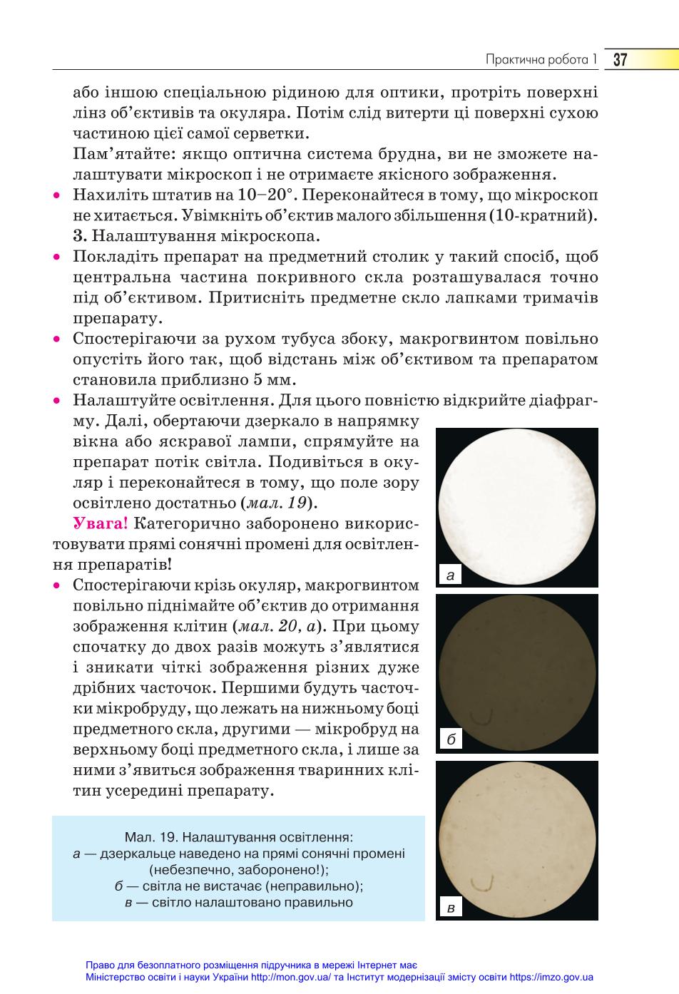 Мініатюра 37