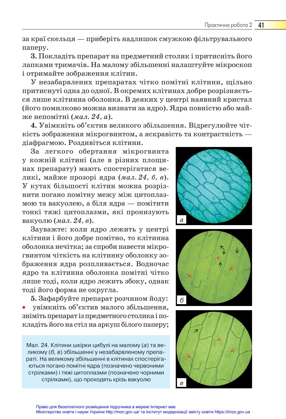Мініатюра 41