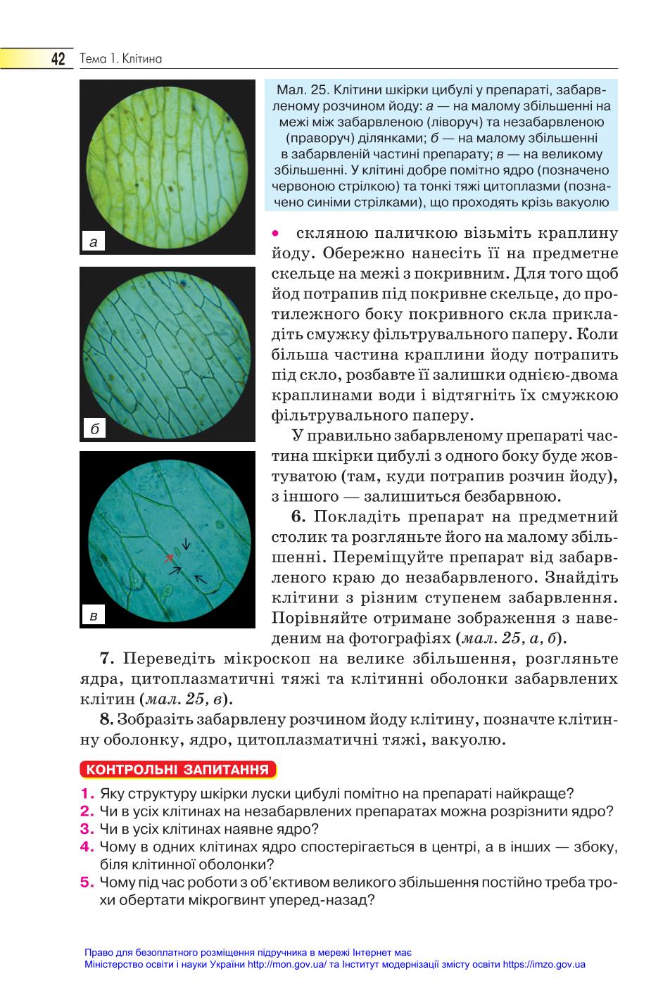 Мініатюра 42