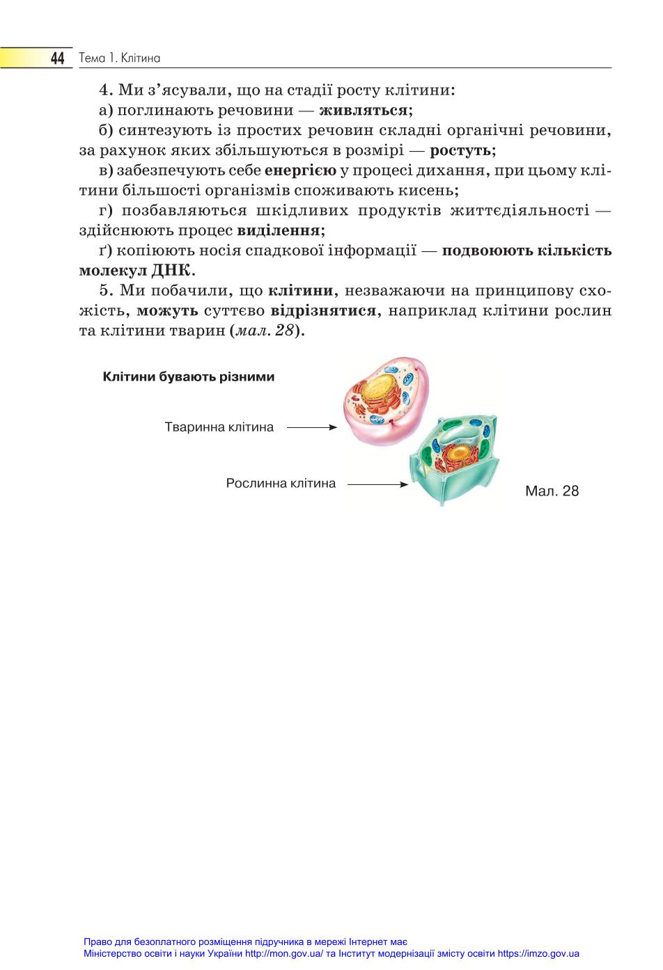 Мініатюра 44