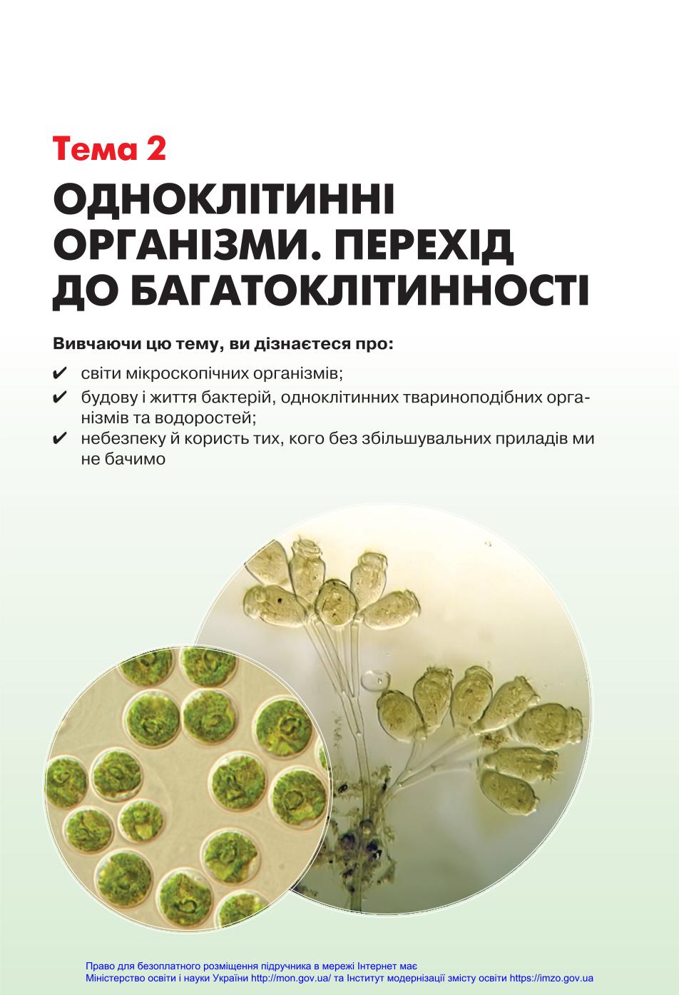 Мініатюра 45