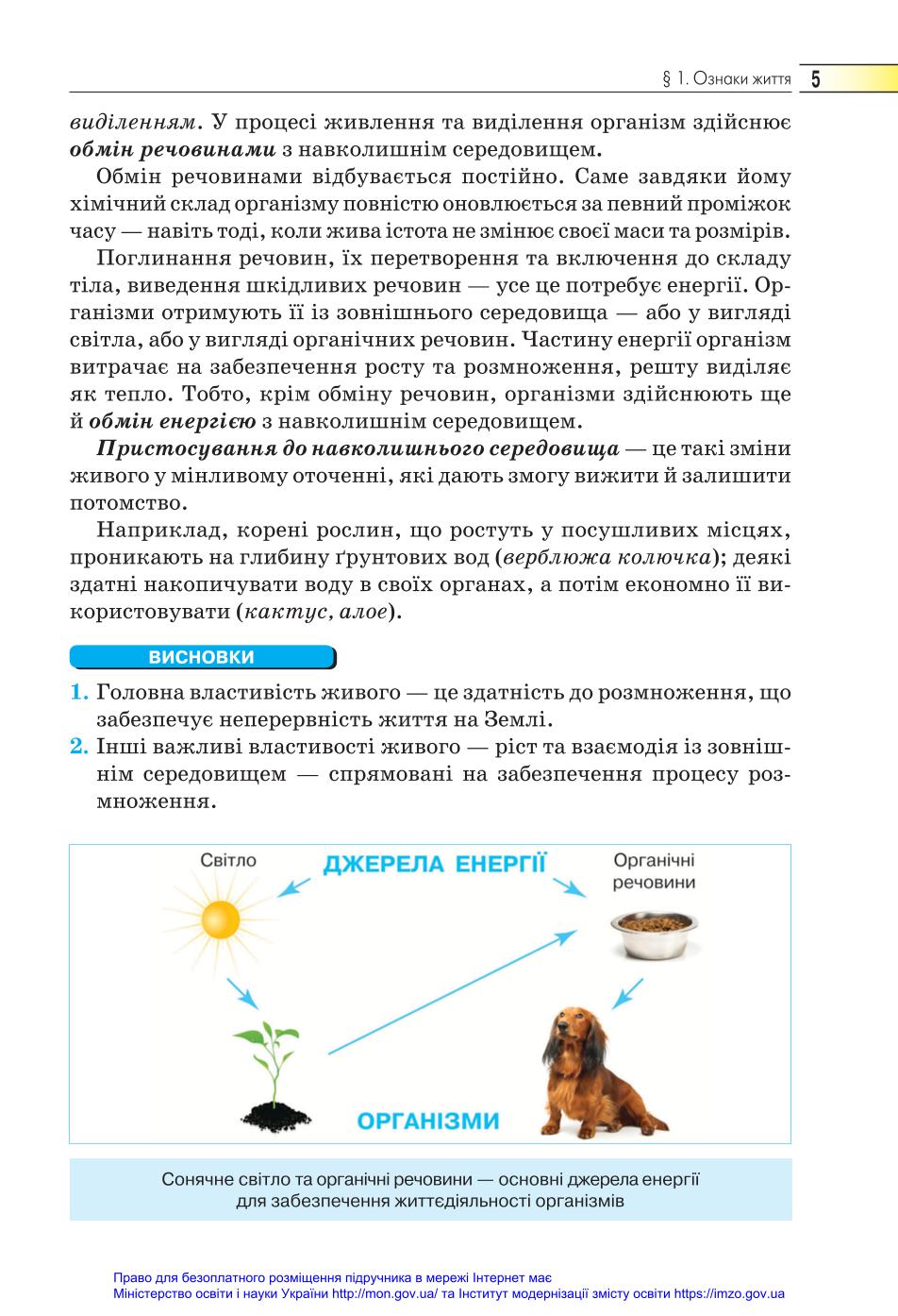 Мініатюра 5