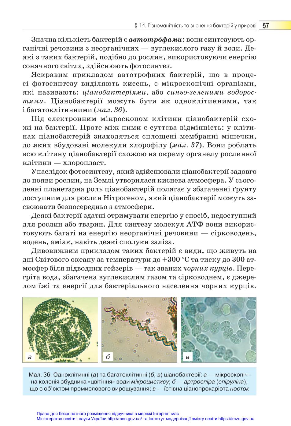 Мініатюра 57