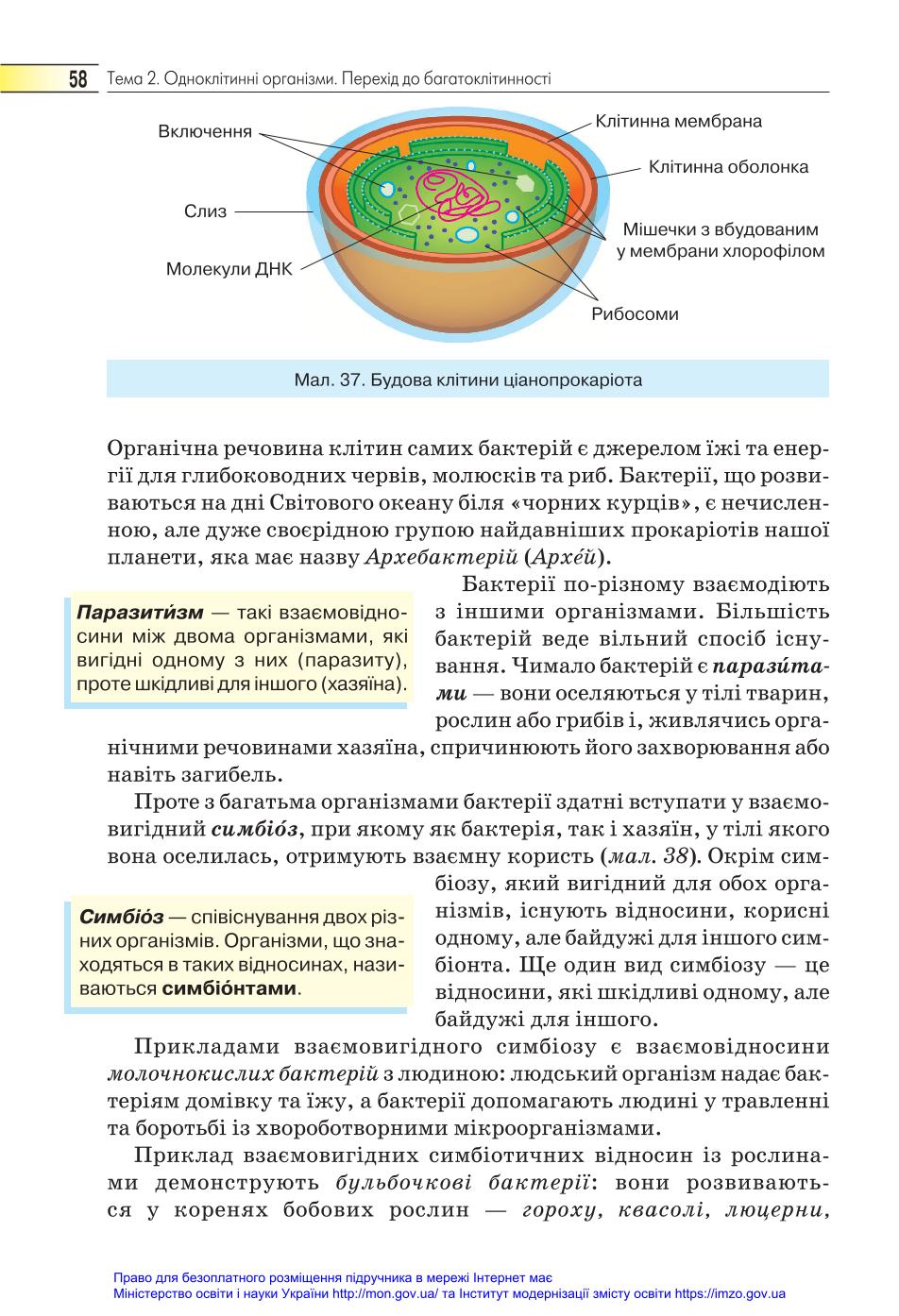 Мініатюра 58