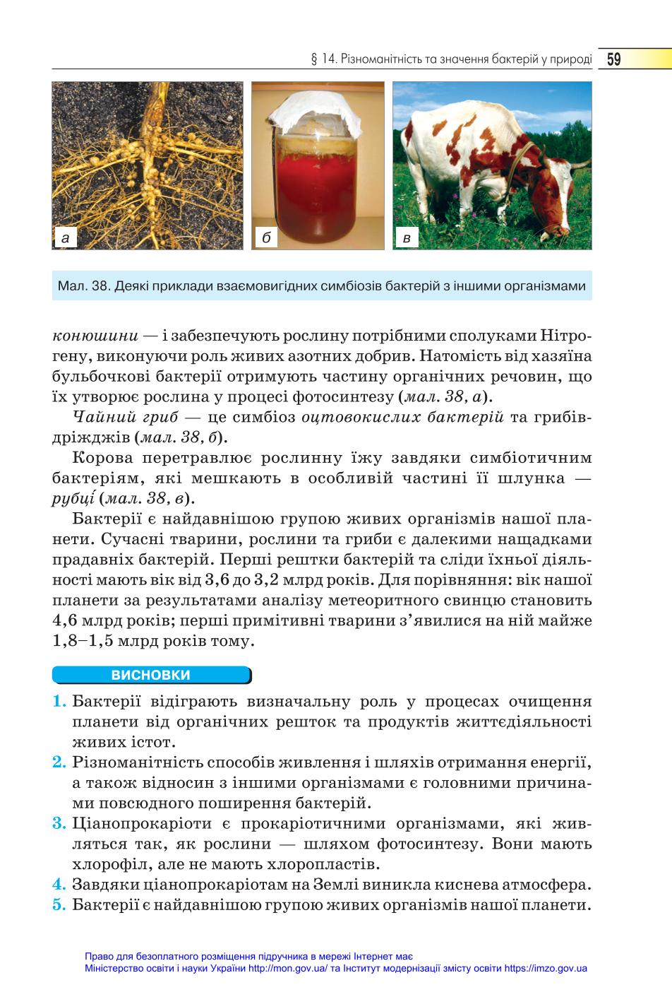 Мініатюра 59