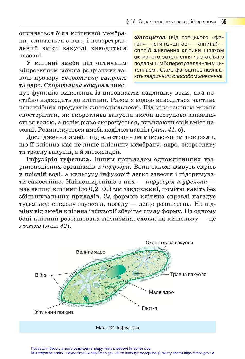 Мініатюра 65