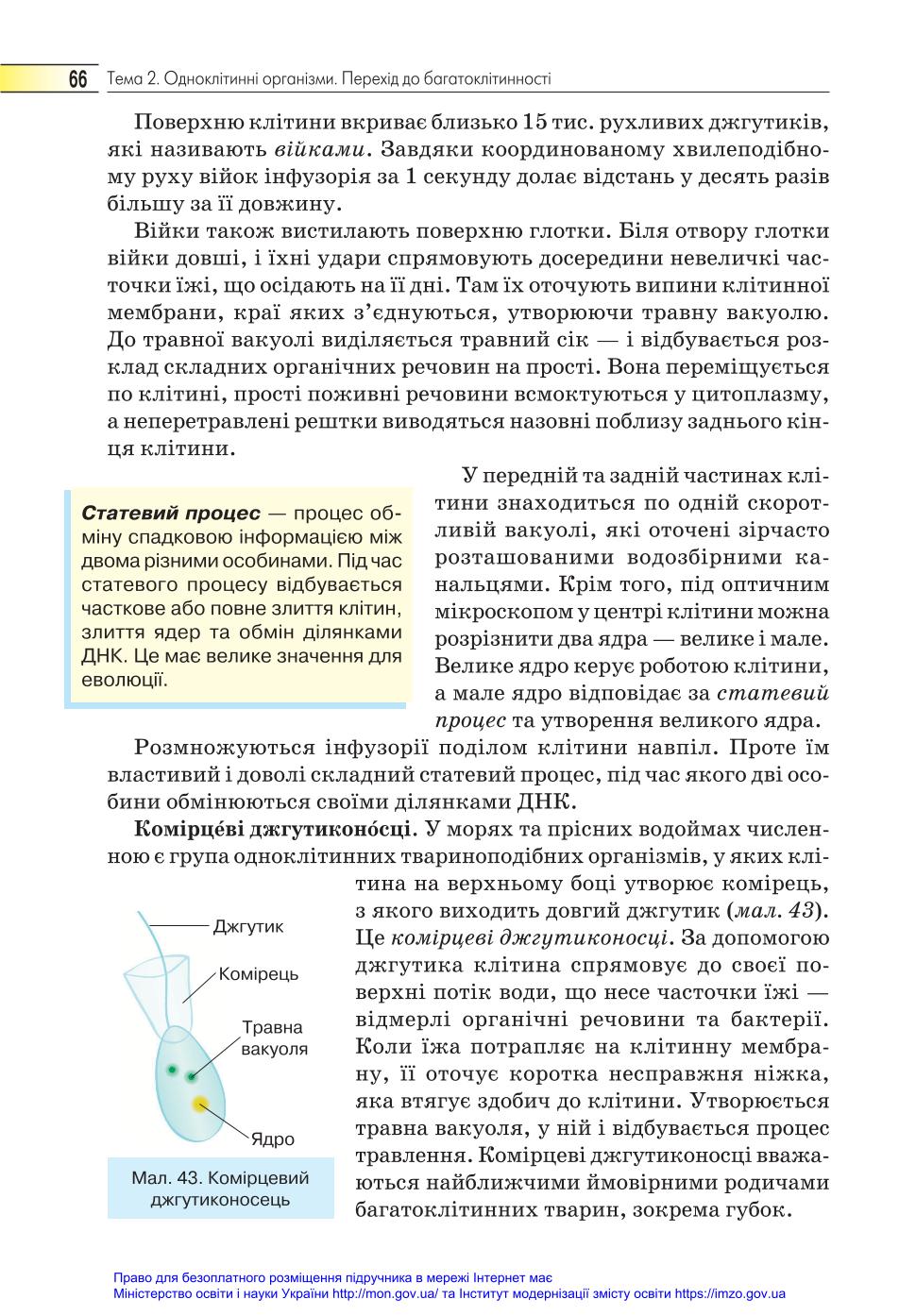 Мініатюра 66