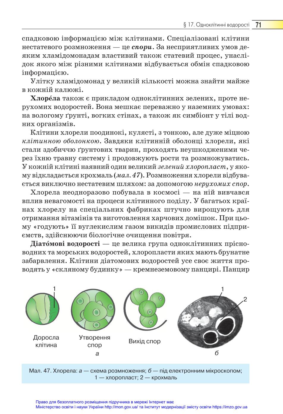Мініатюра 71