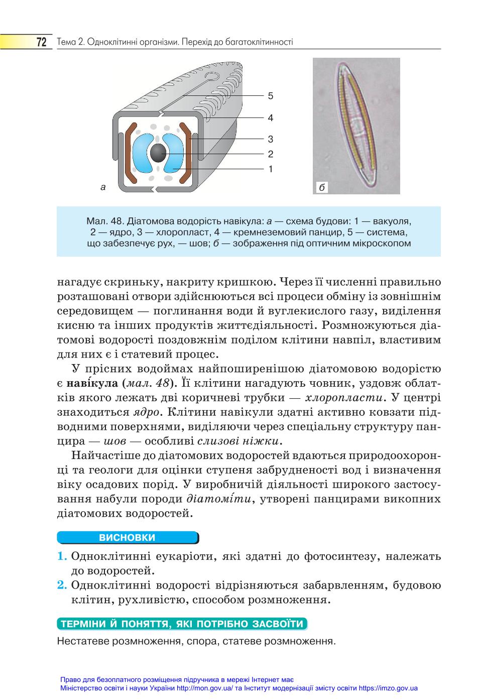 Мініатюра 72