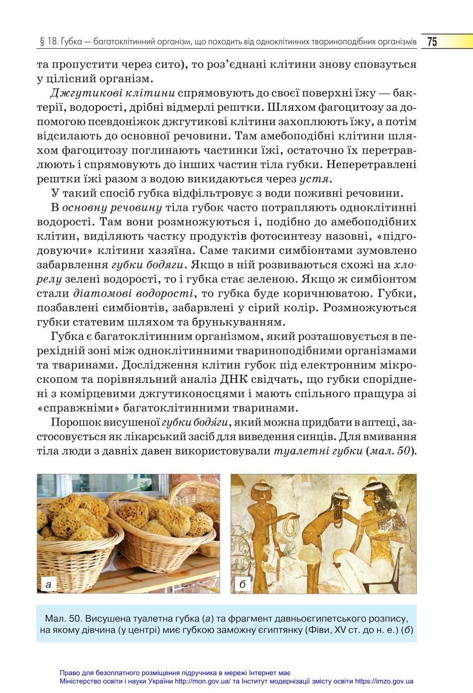 Мініатюра 75