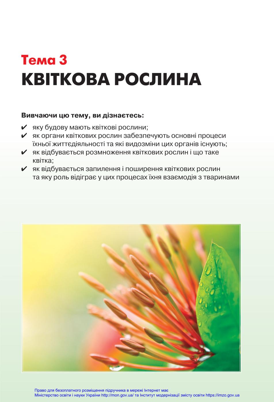 Мініатюра 81