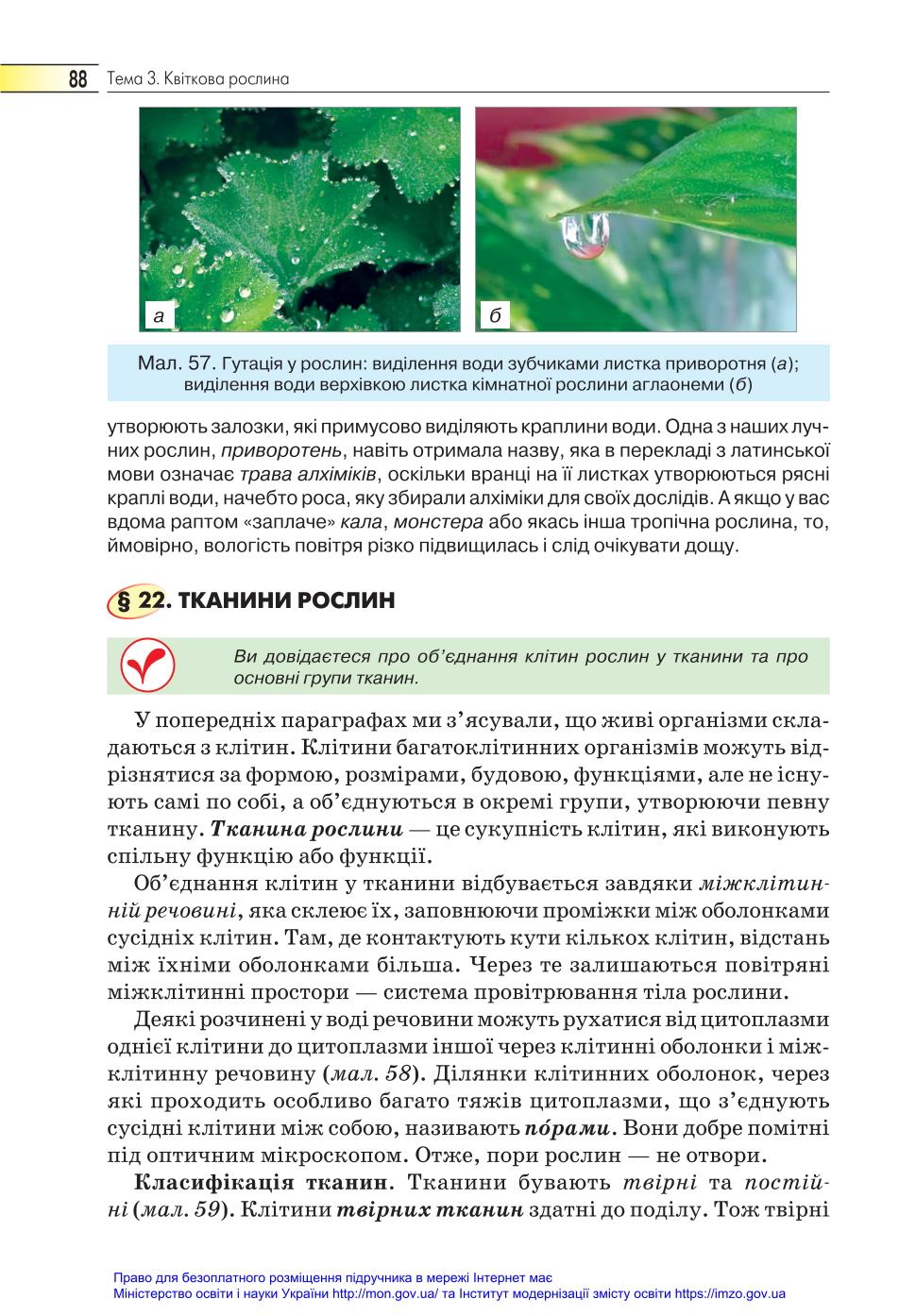 Мініатюра 88