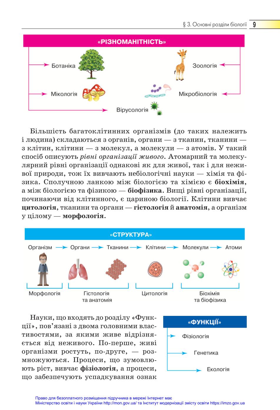 Мініатюра 9