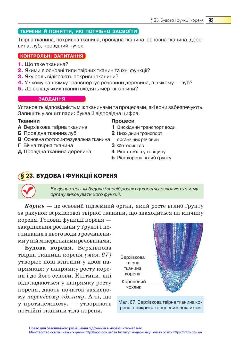 Мініатюра 93