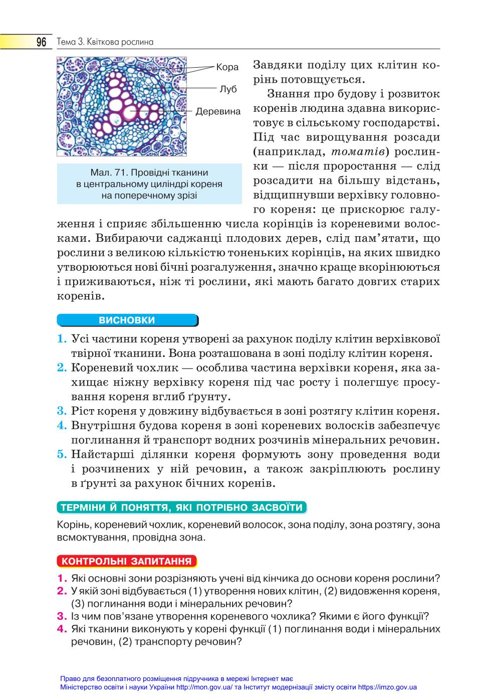 Мініатюра 96