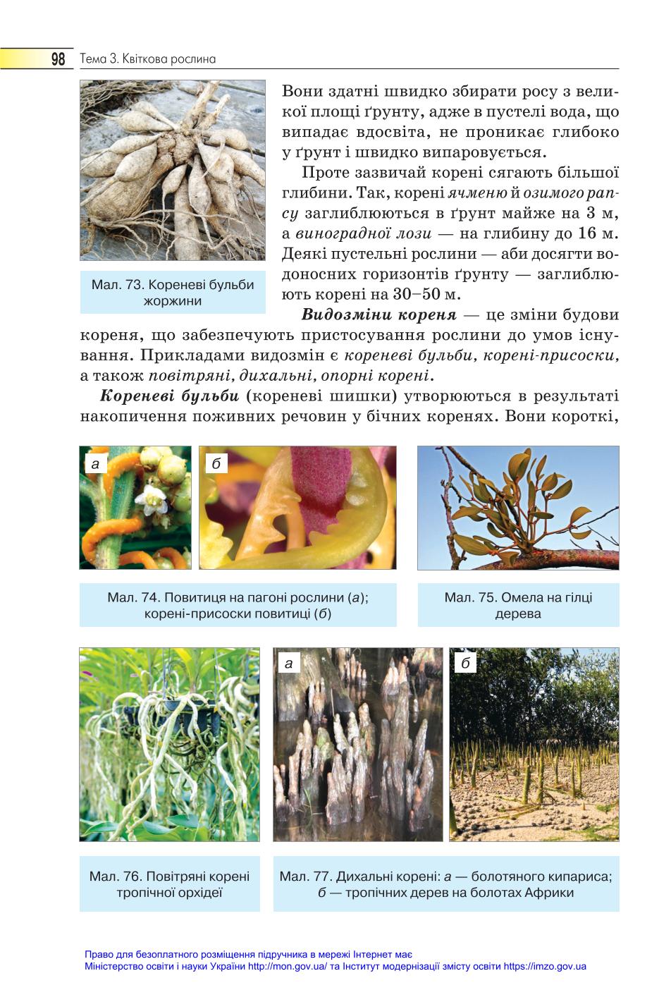 Мініатюра 98
