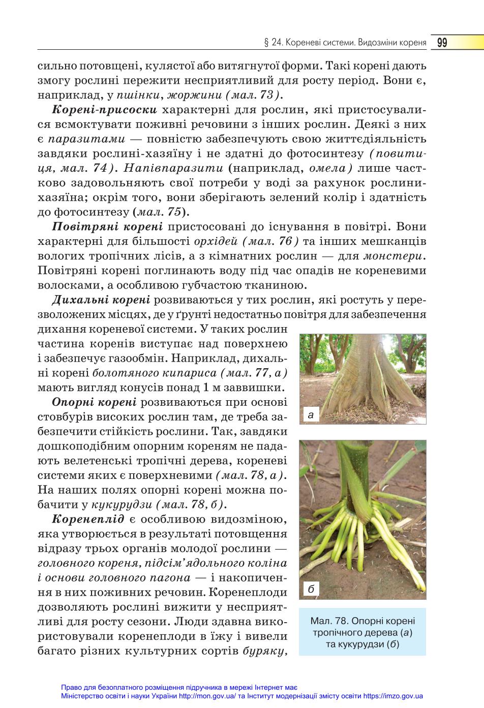 Мініатюра 99