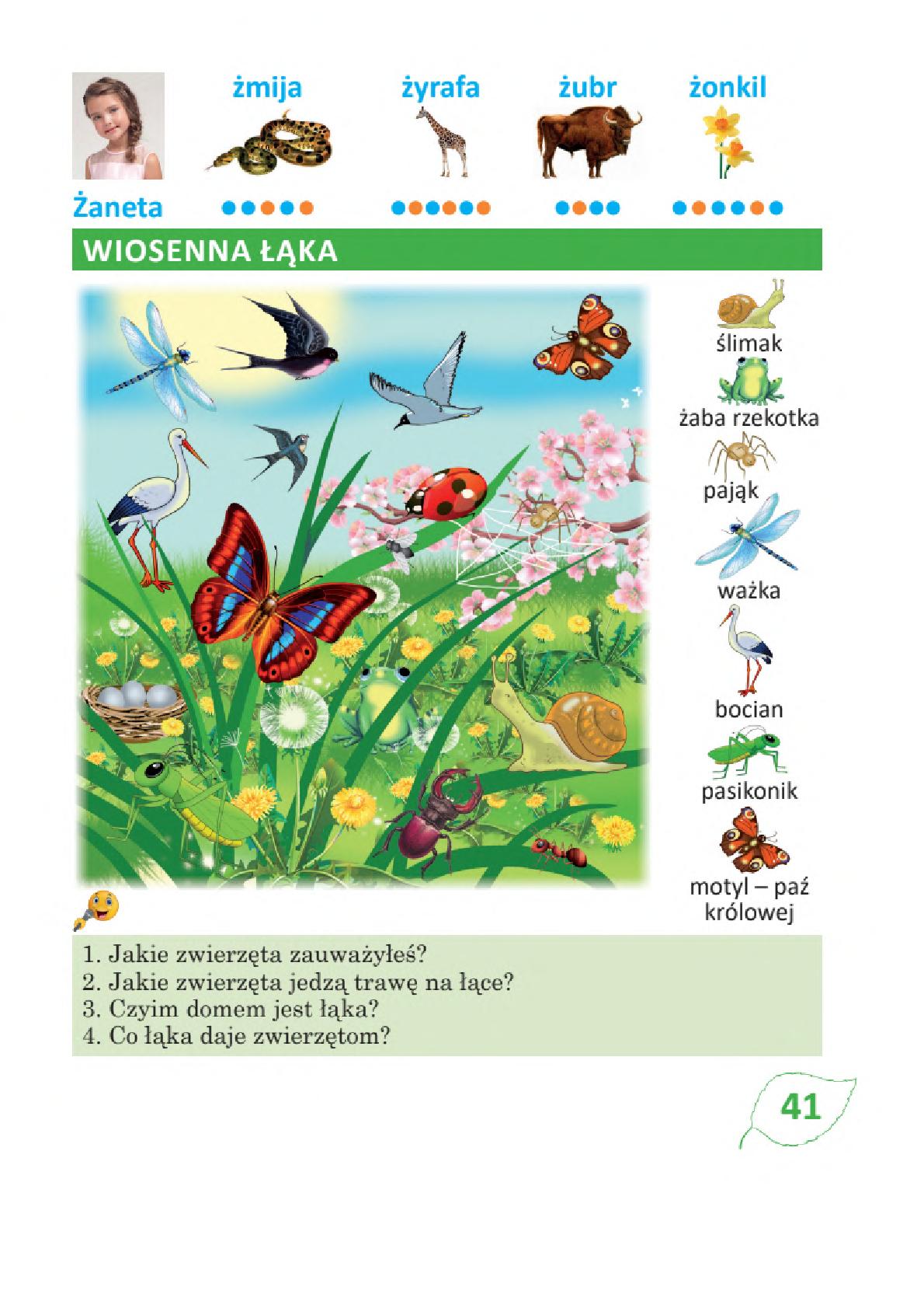 Мініатюра 41