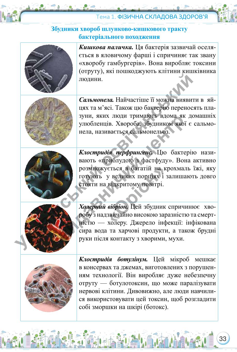 Мініатюра 33