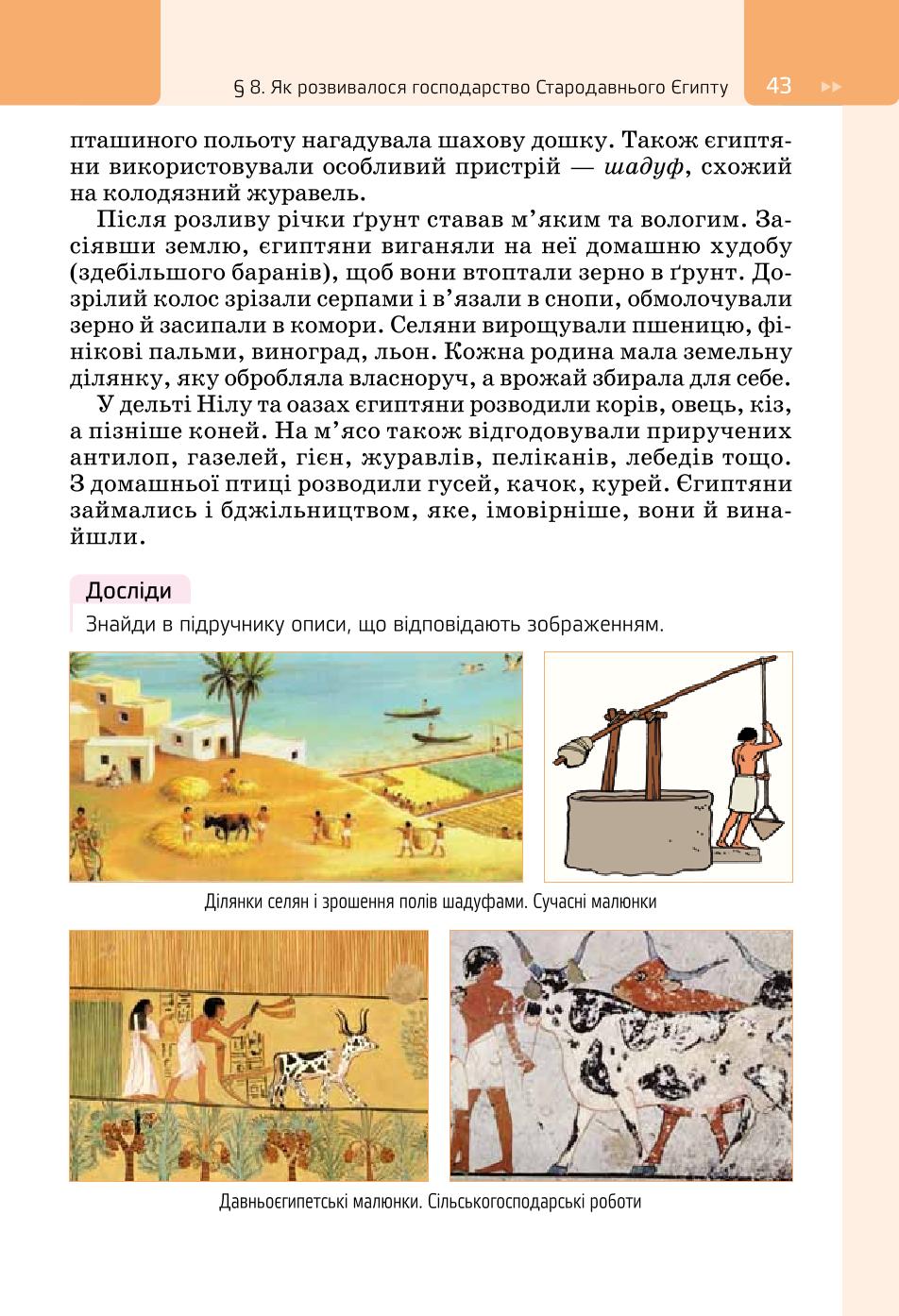 Мініатюра 43