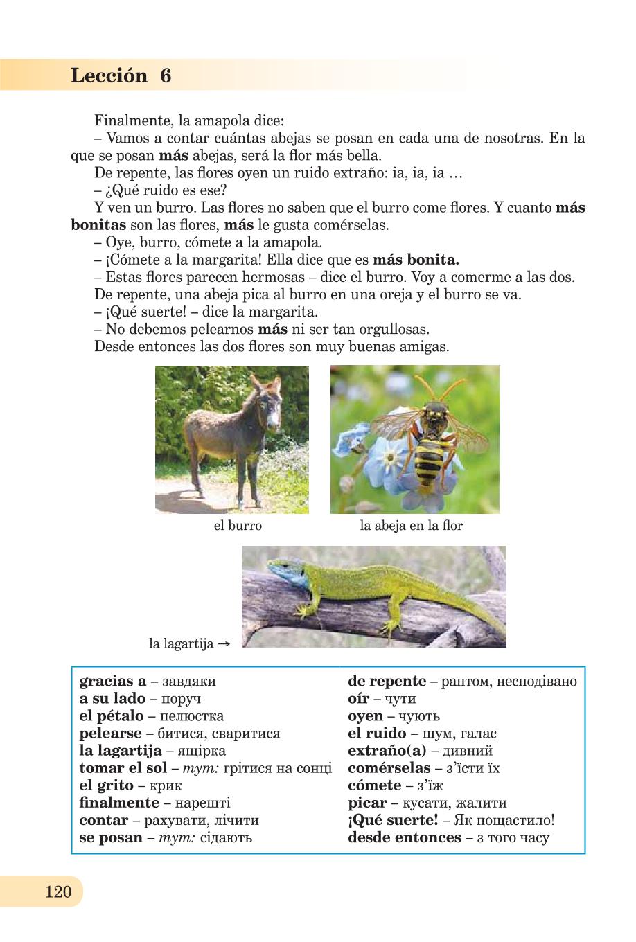 Мініатюра 120