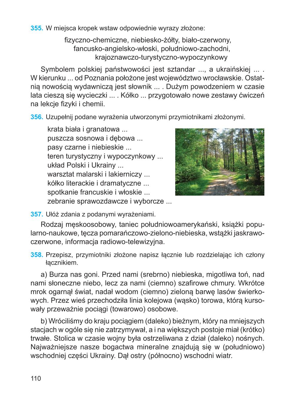 Мініатюра 110