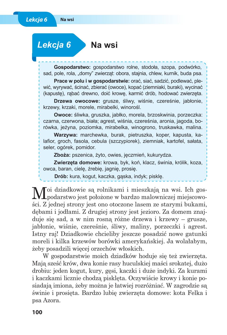 Мініатюра 100