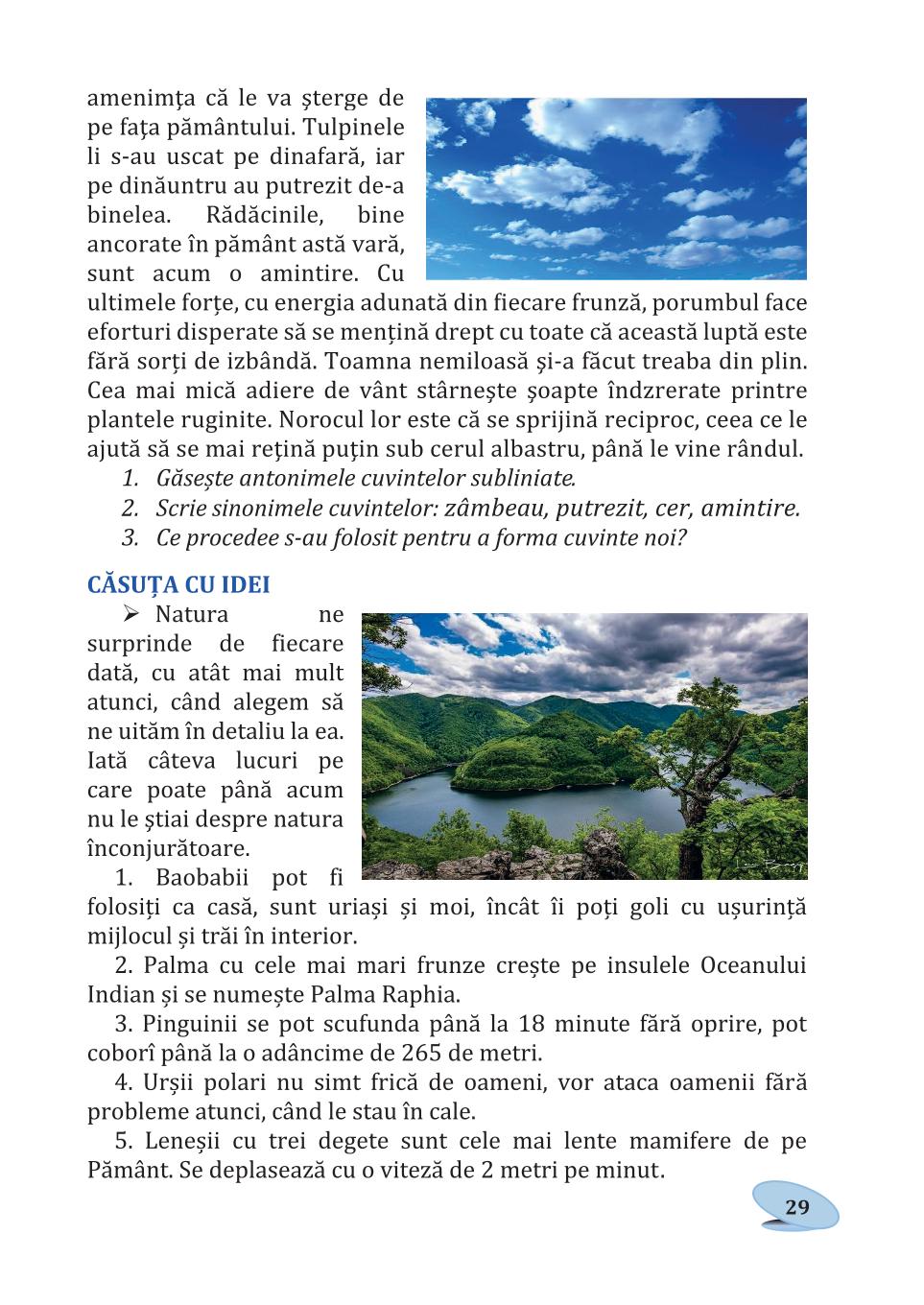 Мініатюра 29