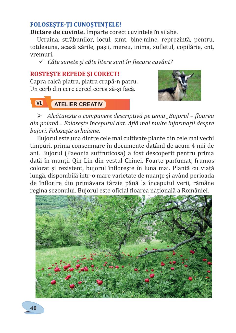 Мініатюра 40
