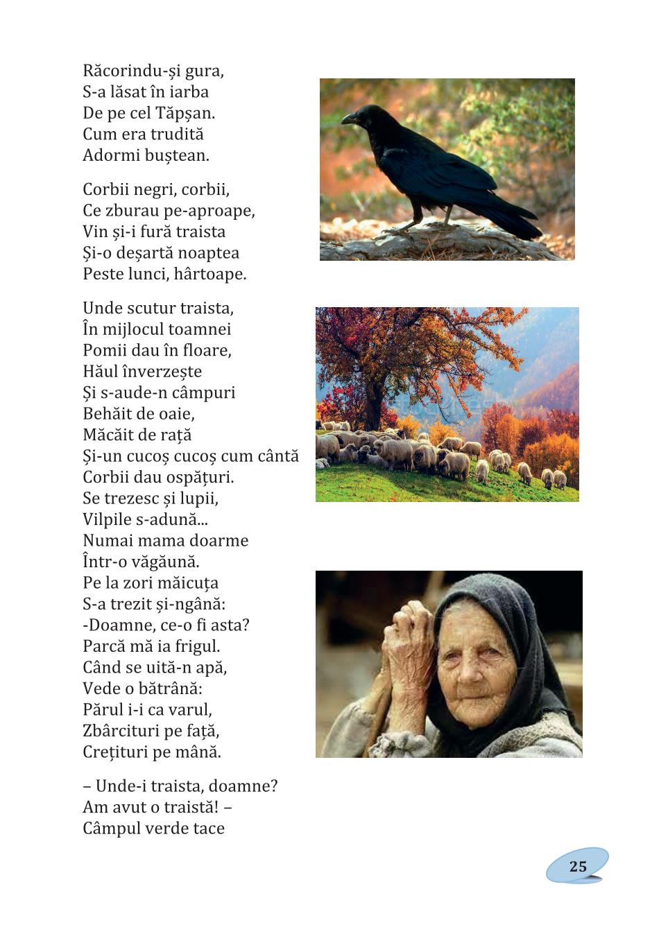 Мініатюра 25