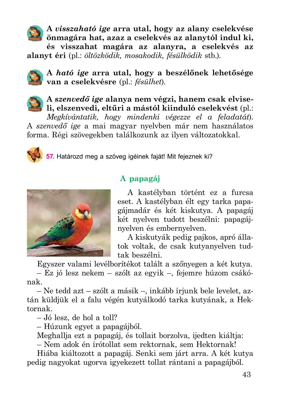 Мініатюра 43