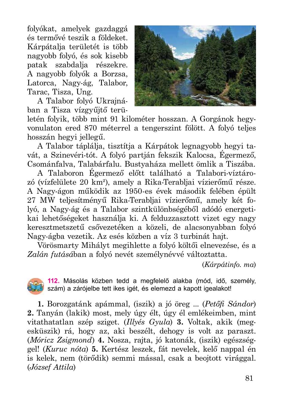 Мініатюра 81