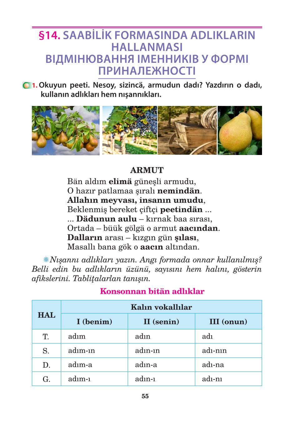 Мініатюра 55