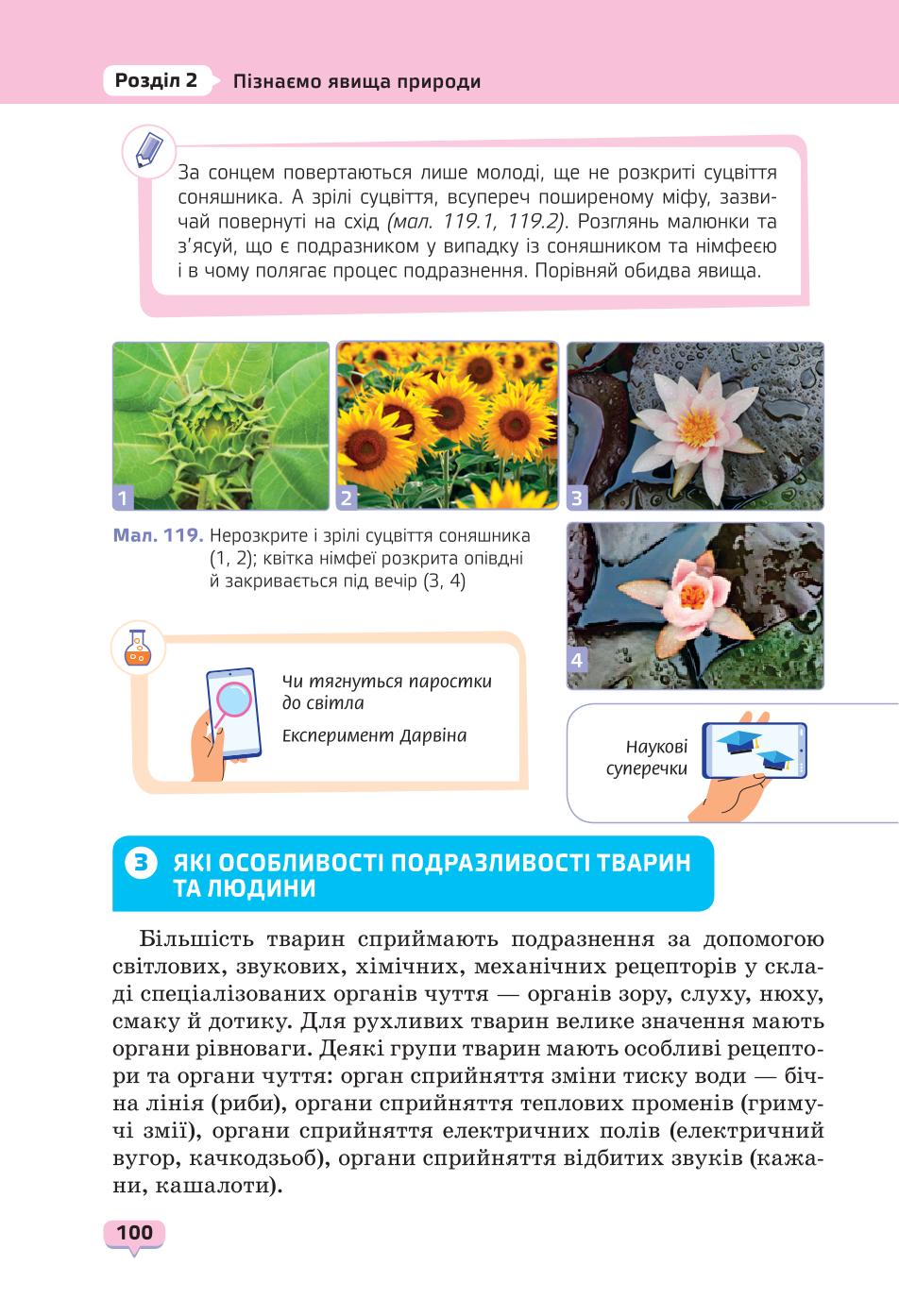 Мініатюра 100