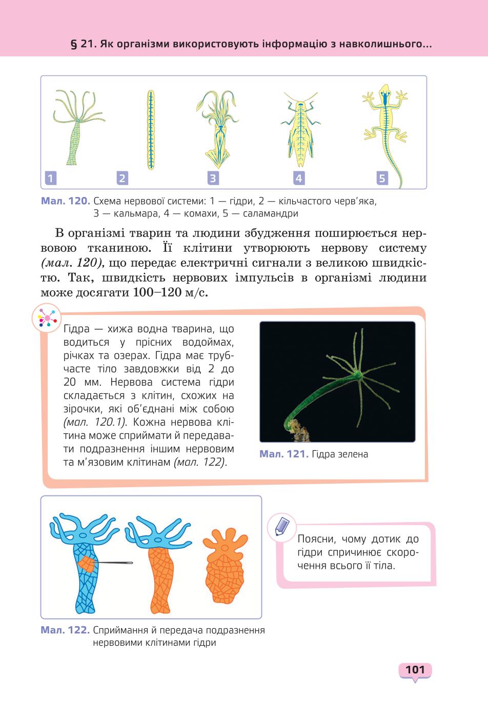 Мініатюра 101