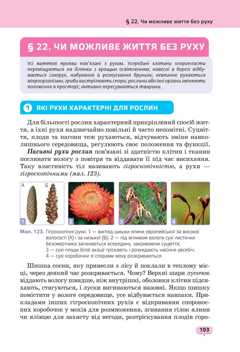 Мініатюра 103