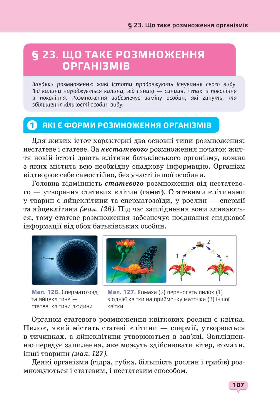 Мініатюра 107