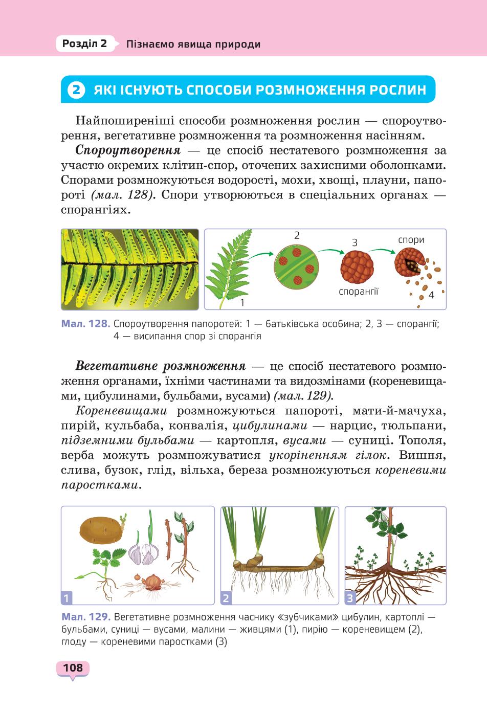 Мініатюра 108
