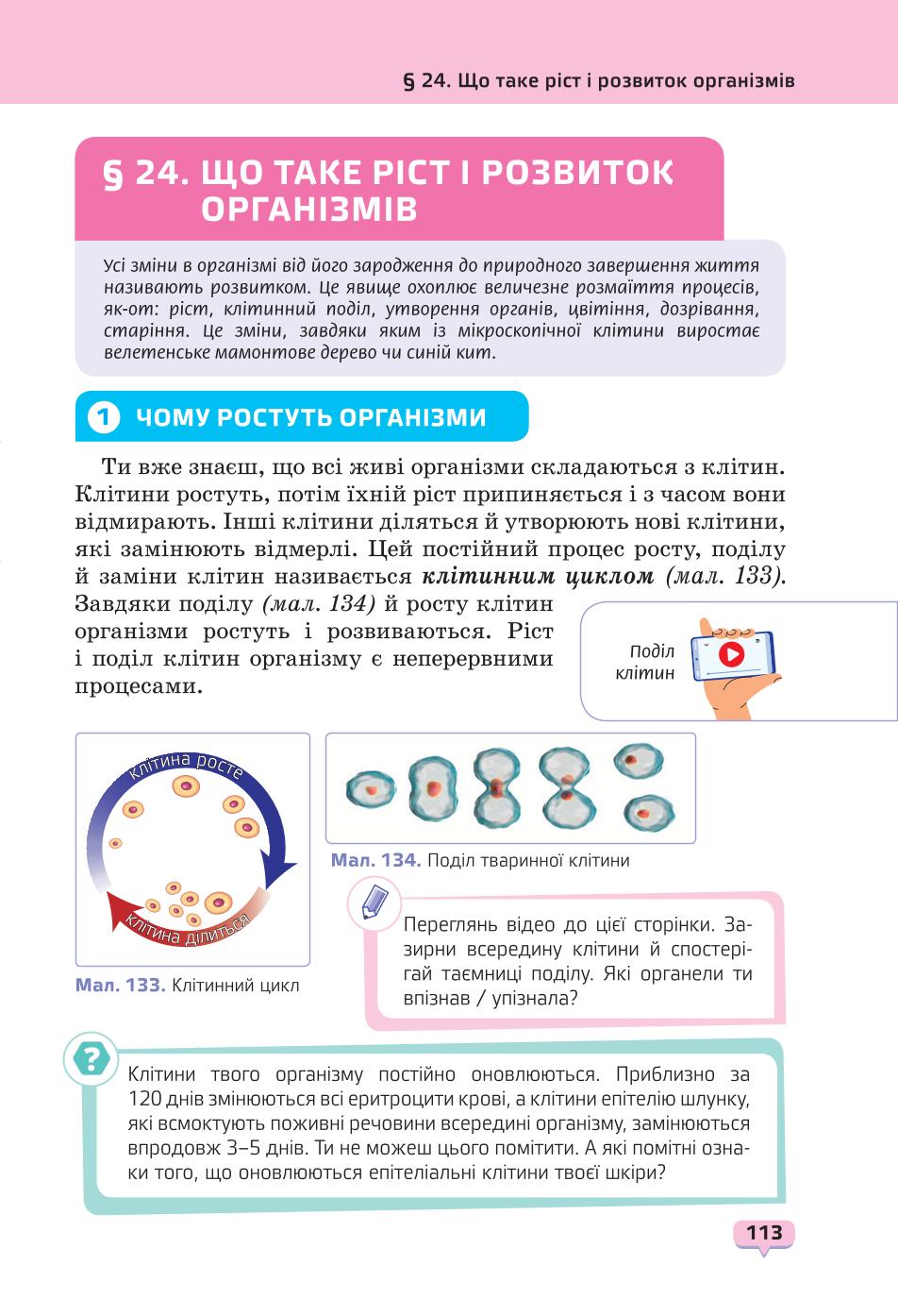 Мініатюра 113